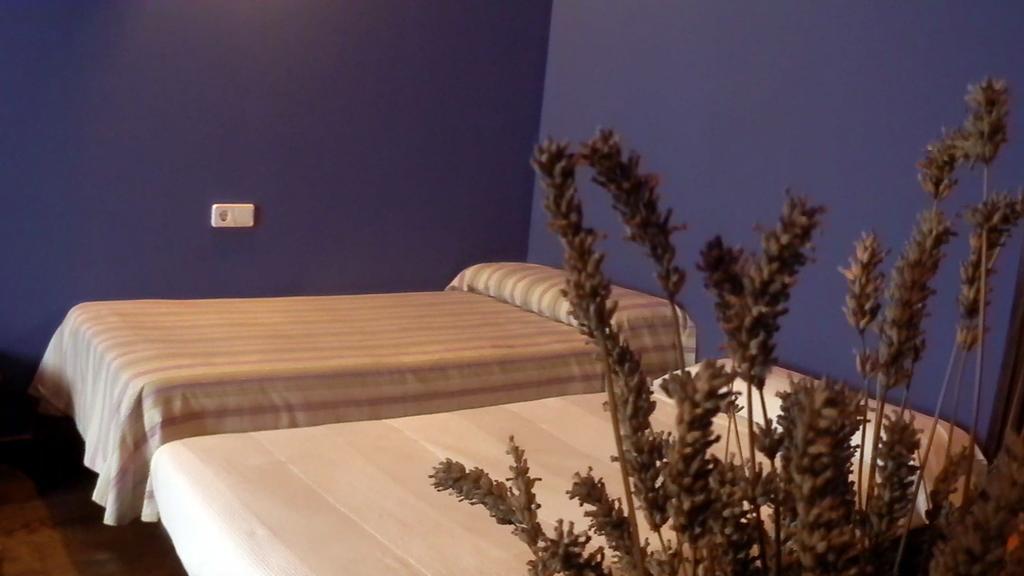 Maison d'hôtes Izpiliku à Acosta Extérieur photo